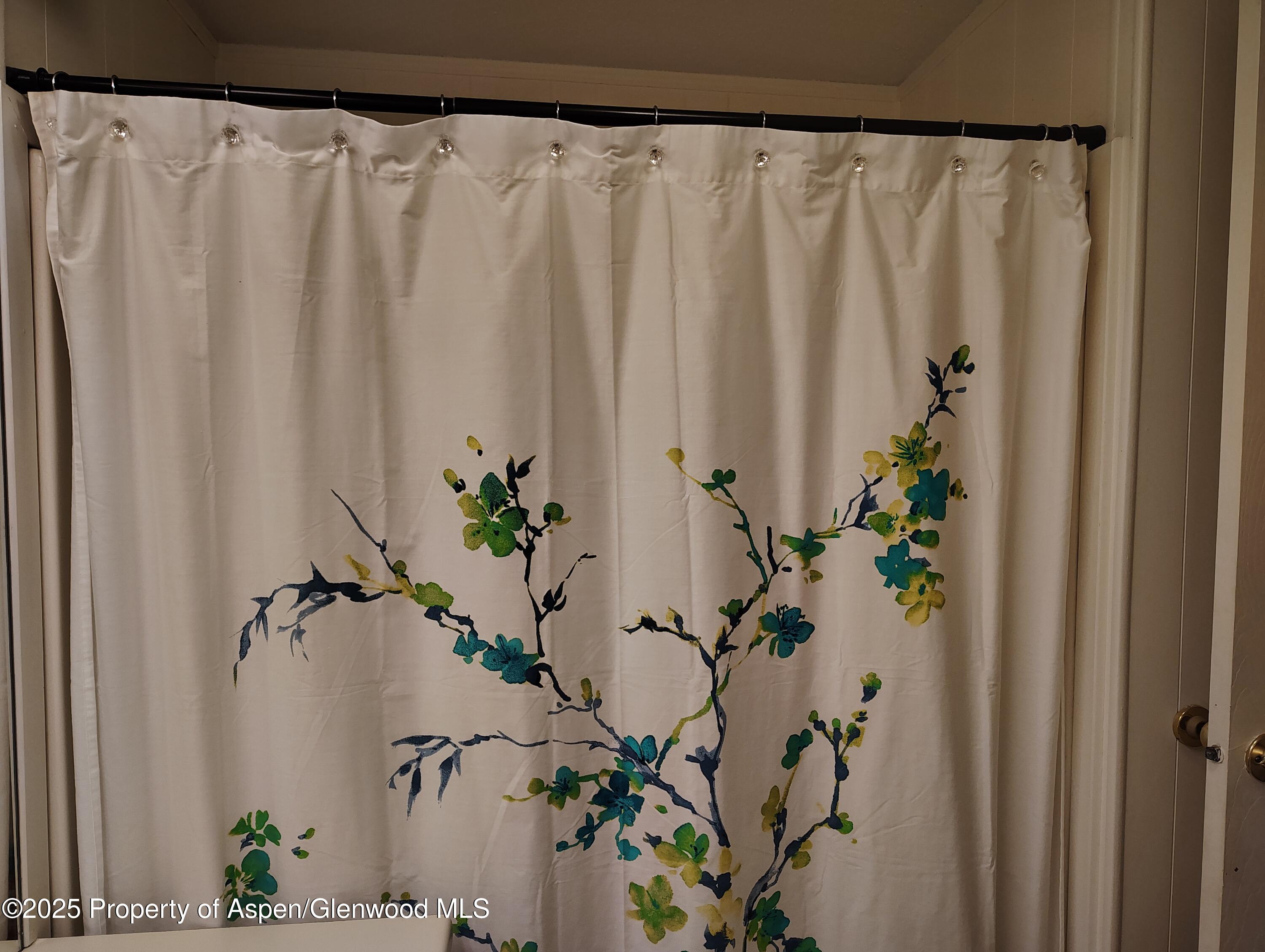 8 St John Circle Parachute, CO 81635 - Photo 26 of 32 a view of a potted plant sitting next to a shower