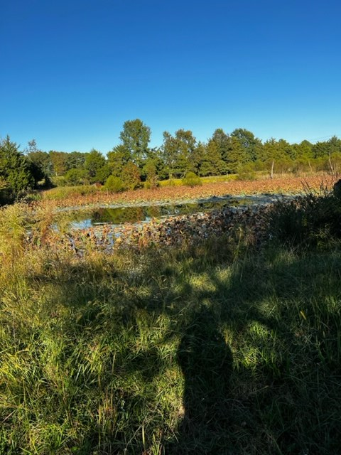 1555 Country Club Road La Crosse, VA 23950 - Photo 15 of 28 Gallery Image 15