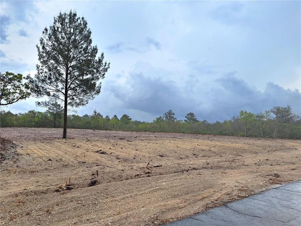 Deer Road Frostproof, FL 33843 - Photo 1 of 1