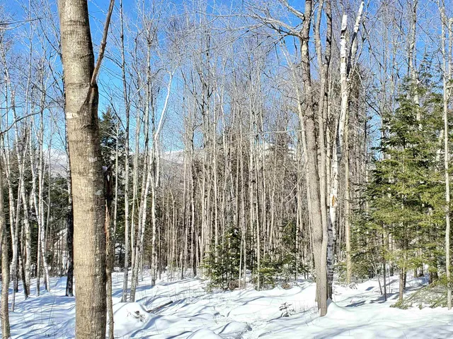 $249,900 | 0 Tin Mine Road, Unit V082503, Jackson, NH 03846