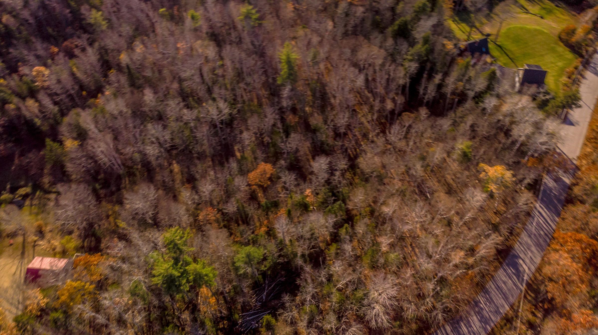 0 Tin Mine Road, Unit V082503 Jackson, NH 03846 - Photo 11 of 38