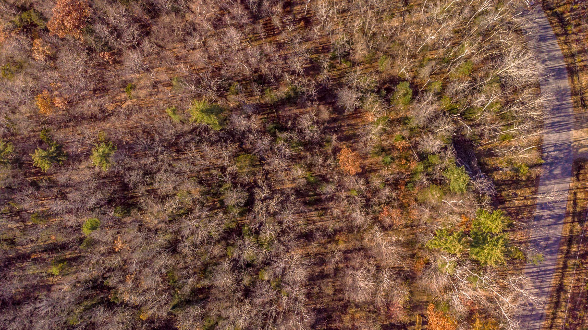 0 Tin Mine Road, Unit V082503 Jackson, NH 03846 - Photo 12 of 38