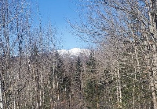 0 Tin Mine Road, Unit V082503 Jackson, NH 03846 - Photo 24 of 38