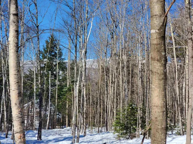 $249,900 | 0 Tin Mine Road, Unit V082503, Jackson, NH 03846