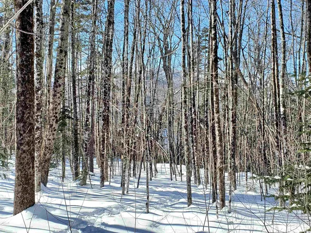 $249,900 | 0 Tin Mine Road, Unit V082503, Jackson, NH 03846