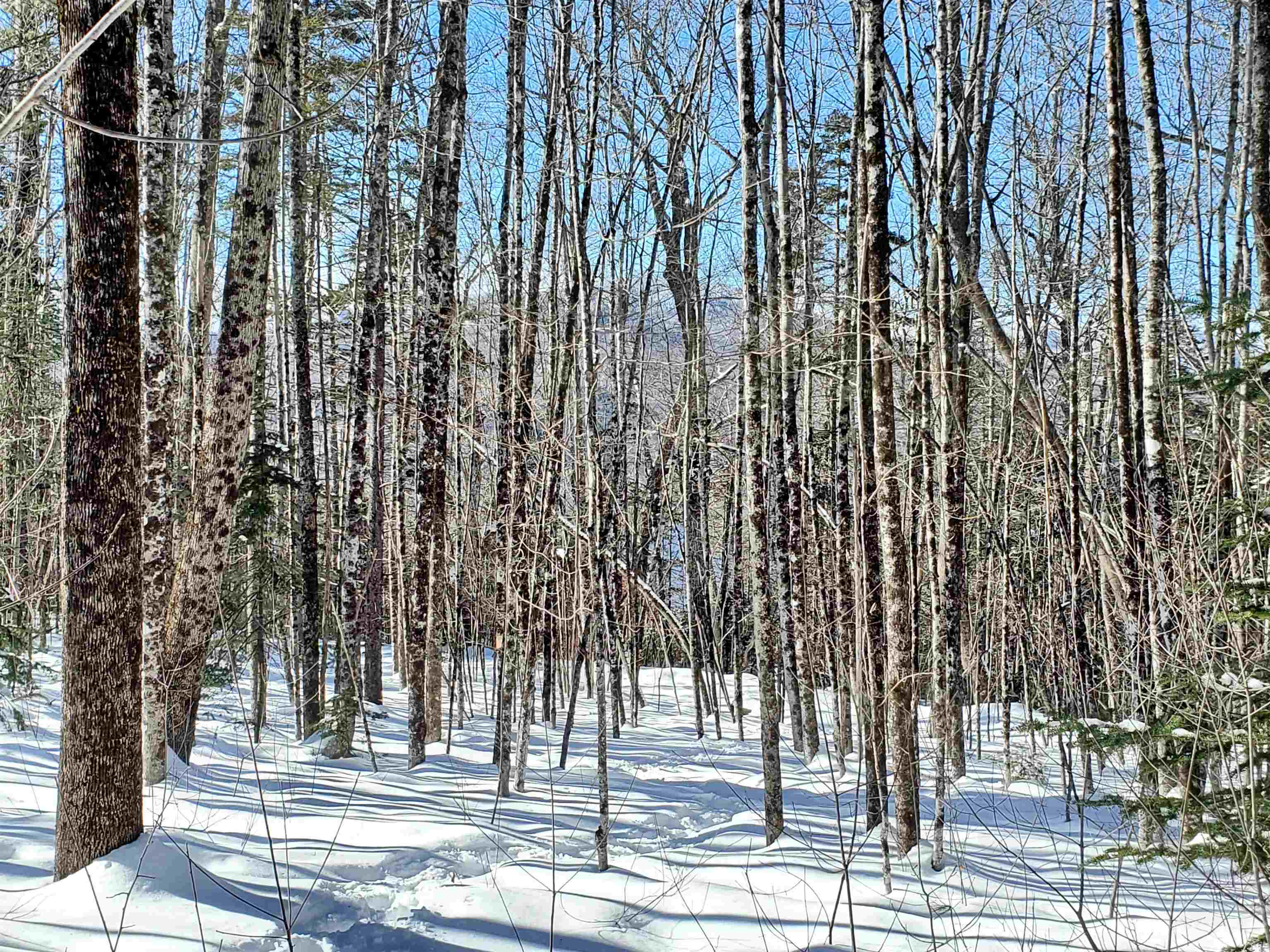 0 Tin Mine Road, Unit V082503 Jackson, NH 03846 - Photo 33 of 38