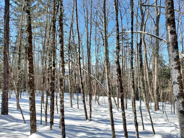 $249,900 | 0 Tin Mine Road, Unit V082503, Jackson, NH 03846