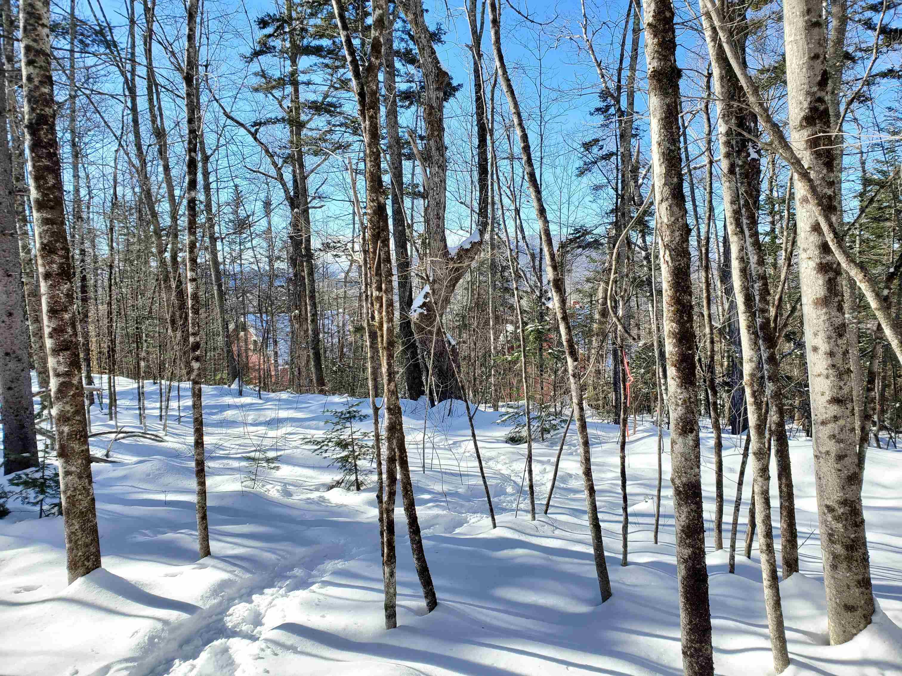 0 Tin Mine Road, Unit V082503 Jackson, NH 03846 - Photo 35 of 38