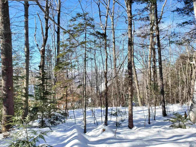 $249,900 | 0 Tin Mine Road, Unit V082503, Jackson, NH 03846