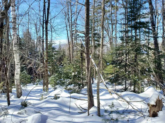 $249,900 | 0 Tin Mine Road, Unit V082503, Jackson, NH 03846