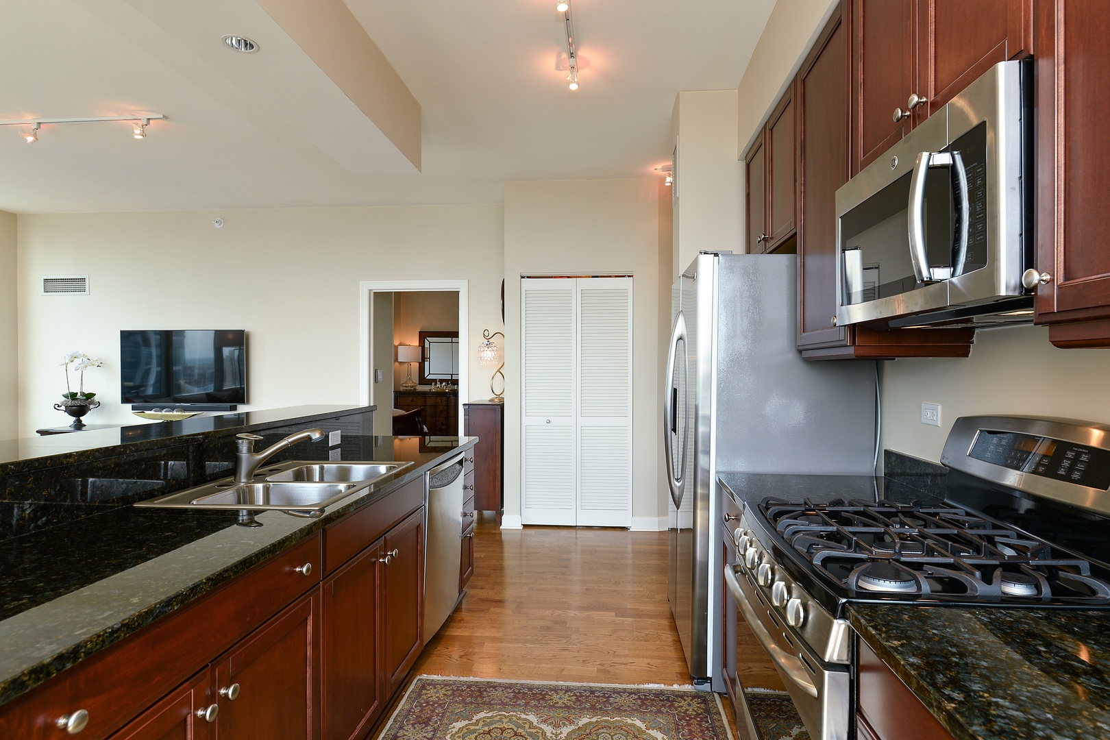 1201 South Prairie Avenue, Unit 2706 Chicago, IL 60605 - Photo 9 of 23