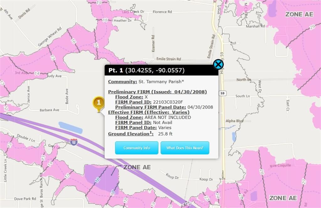 22200 Compass Way South Covington, LA 70433 - Photo 3 of 4