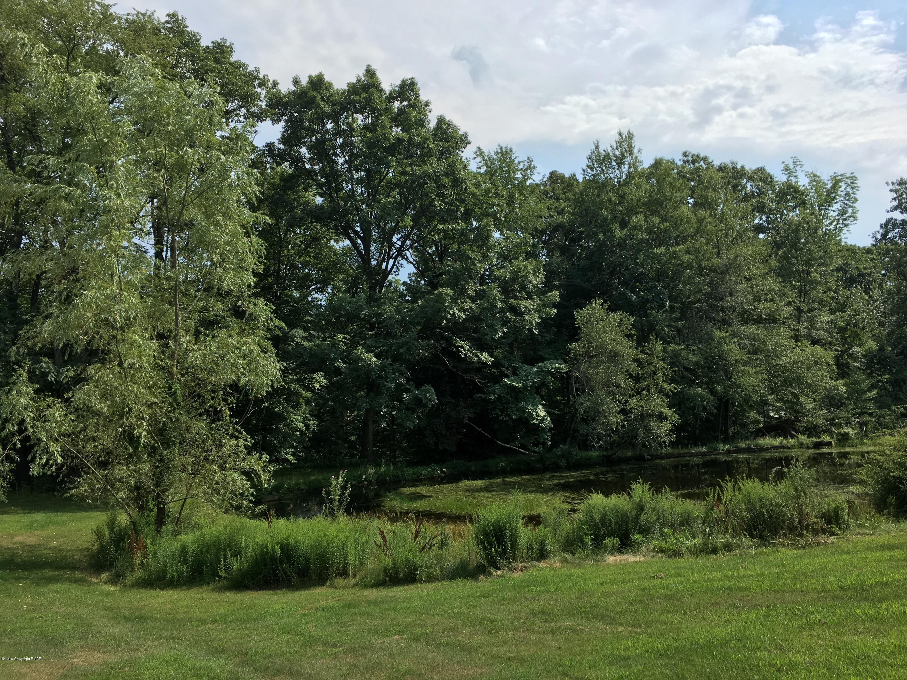 271 Williams Road Cresco, PA 18326 - Photo 41 of 46 a view of a garden with a lake