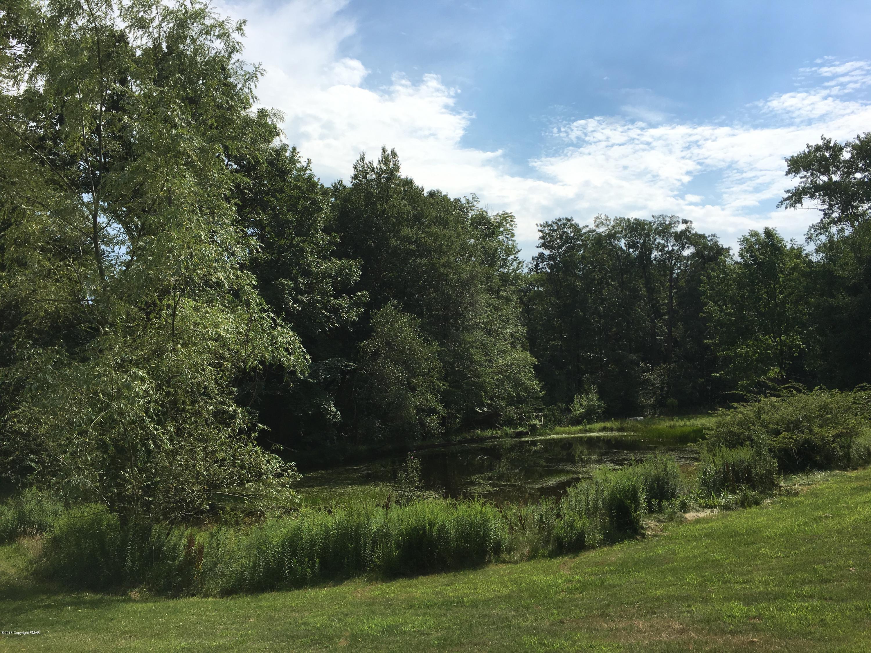 271 Williams Road Cresco, PA 18326 - Photo 42 of 46 a view of a green field with plants and large trees