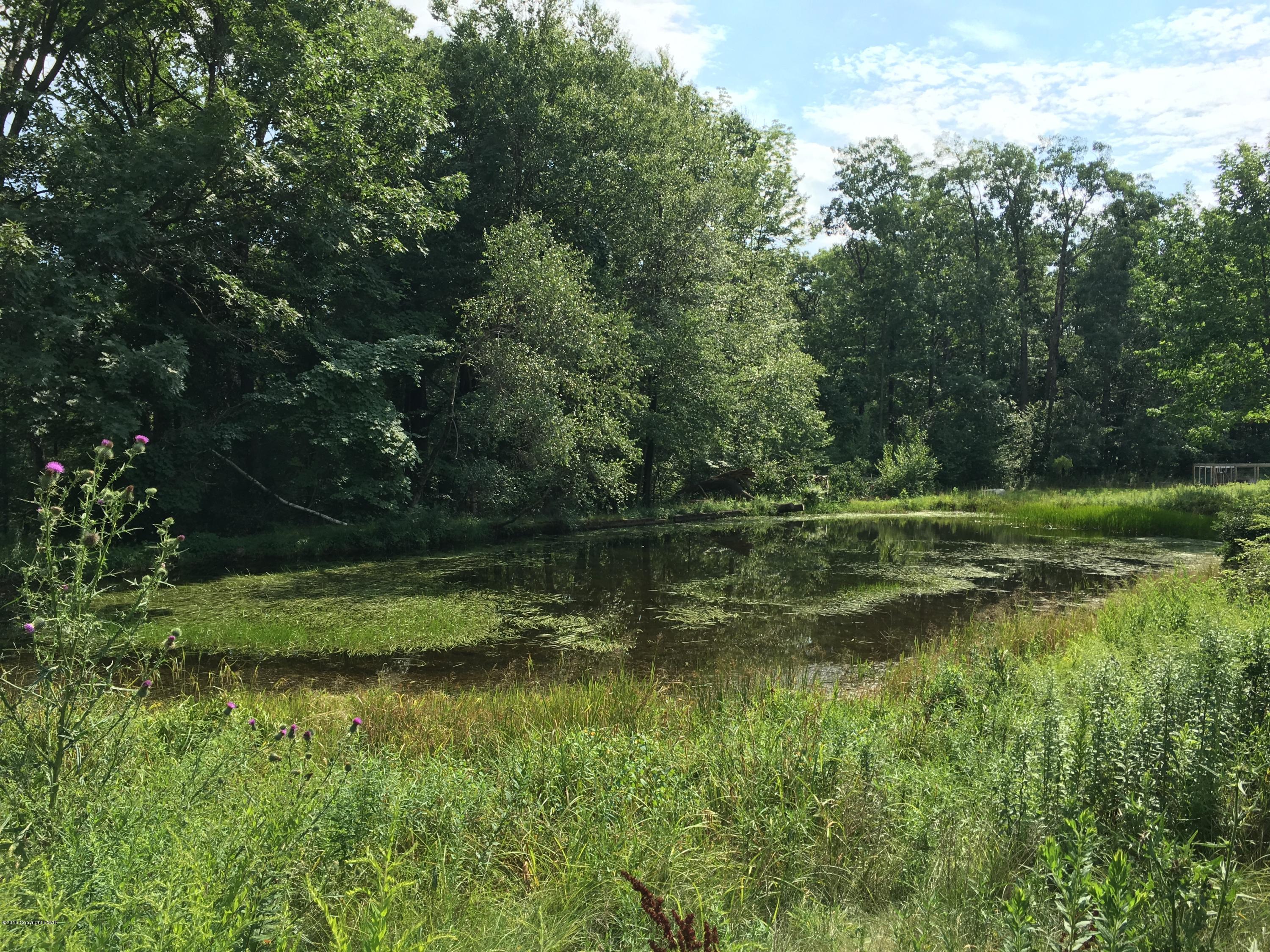 271 Williams Road Cresco, PA 18326 - Photo 44 of 46 a view of a lake with a yard and large trees