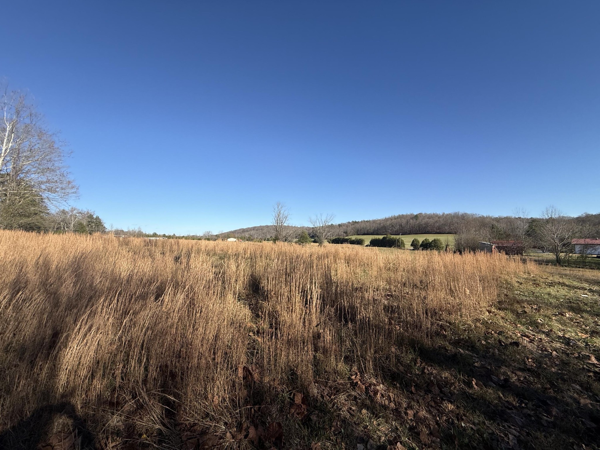 17657 North Nopone Valley Road Decatur, TN 37322 - Photo 10 of 12 Gallery Image 10