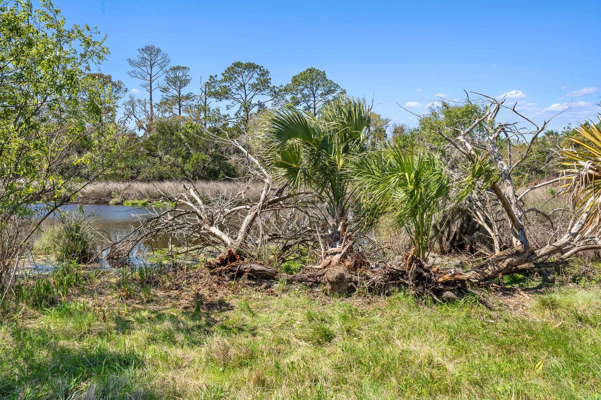 164 Tesoro Terrace St. Augustine, FL 32095 - Photo 69 of 98