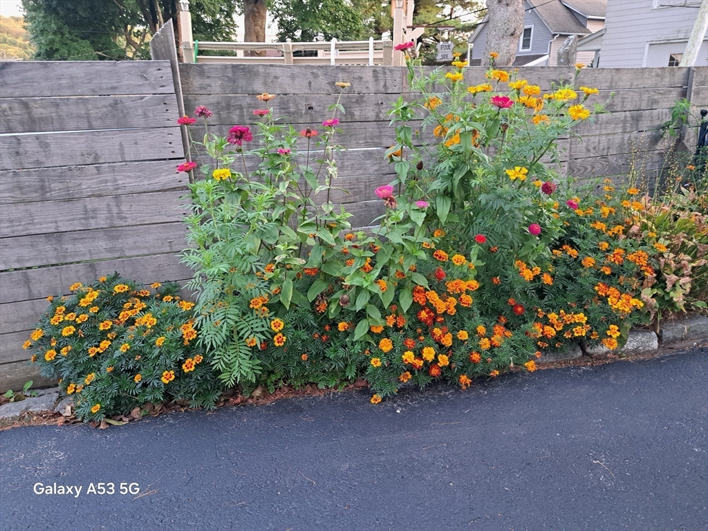 40 Ames Street, Unit 3 Worcester, MA 01604 - Photo 6 of 25