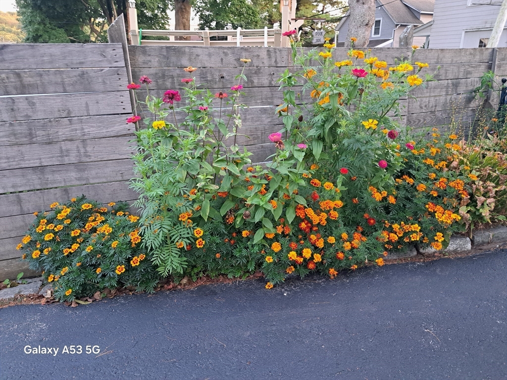 40 Ames Street, Unit 3 Worcester, MA 01604 - Photo 7 of 25