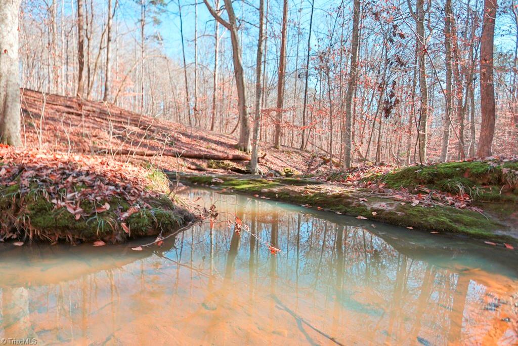 1045 West Old Phillips Road Pinnacle, NC 27043 - Photo 19 of 29 Bold creek meanders the back of the property.
