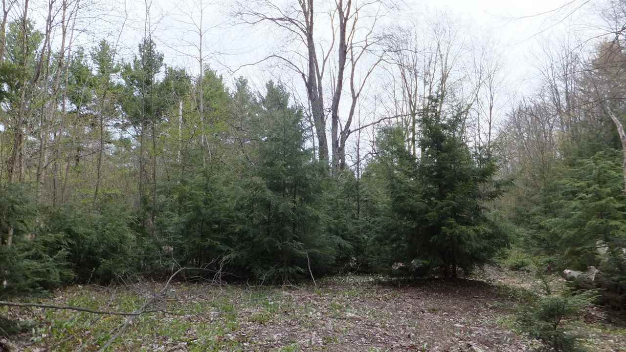 3415 Ballard Road Benzonia, MI 49616 - Photo 36 of 38 1816008-35.JPG