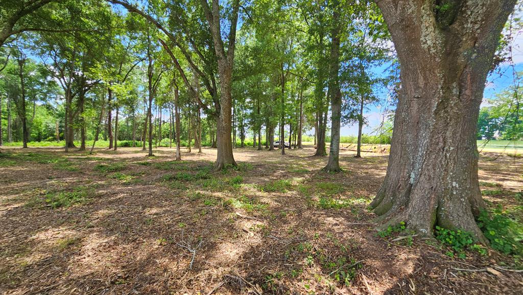 92 County Road 92 Slocomb, AL 36375 - Photo 44 of 58