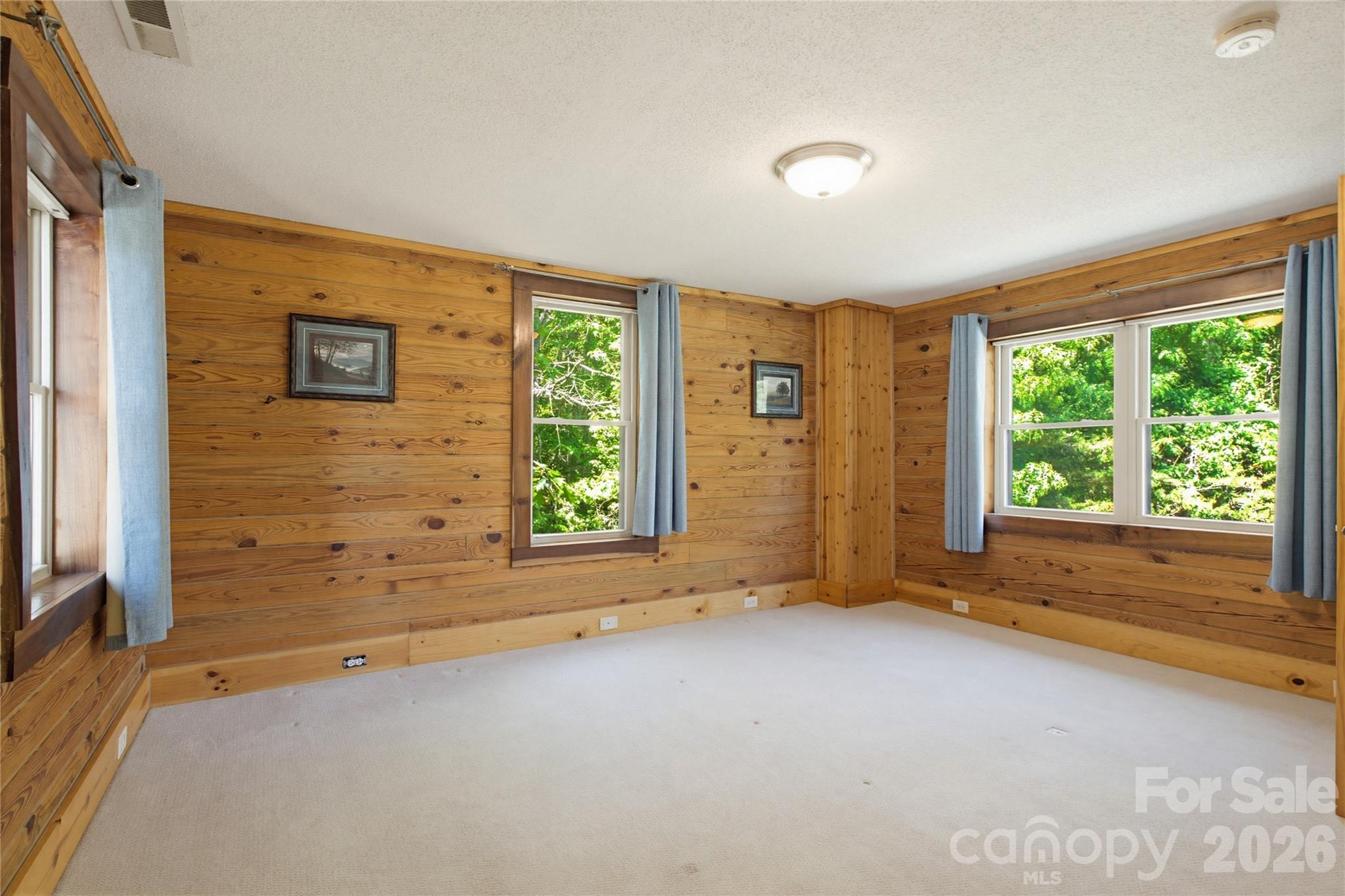 451 Rustic Ridge Drive Canton, NC 28716 - Photo 30 of 44 an empty room with windows