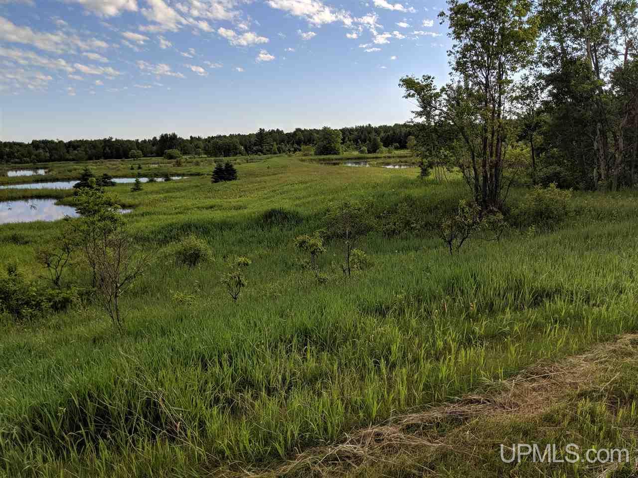 Tbd Town Line Road Skandia, MI 49885 - Photo 9 of 14