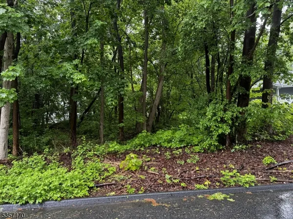 $50,000 | 0 Walnut Street, Oak Ridge, NJ 07438