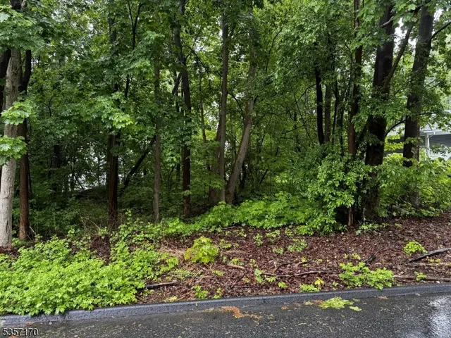 $50,000 | 0 Walnut Street, Oak Ridge, NJ 07438