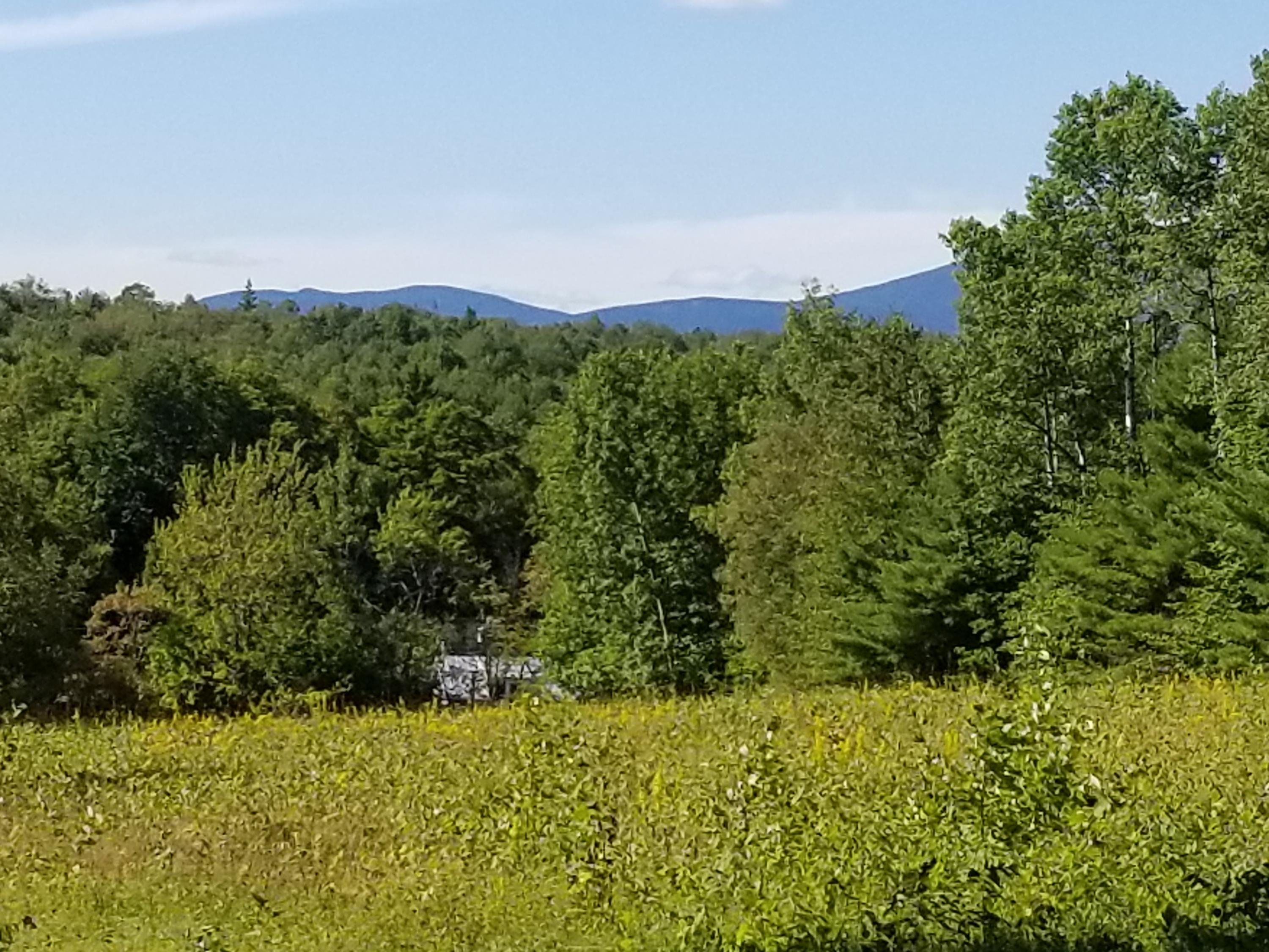 0 Weld Road Phillips, ME 04966 - Photo 35 of 47 20190905_150050