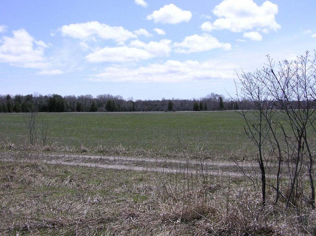 Range Line Road Washington Island, WI 54246 - Photo 4 of 4