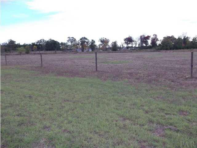 6277 Sardine Road Brewton, AL 36426 - Photo 23 of 24 Pasture fenced and ready for horses or cows.
