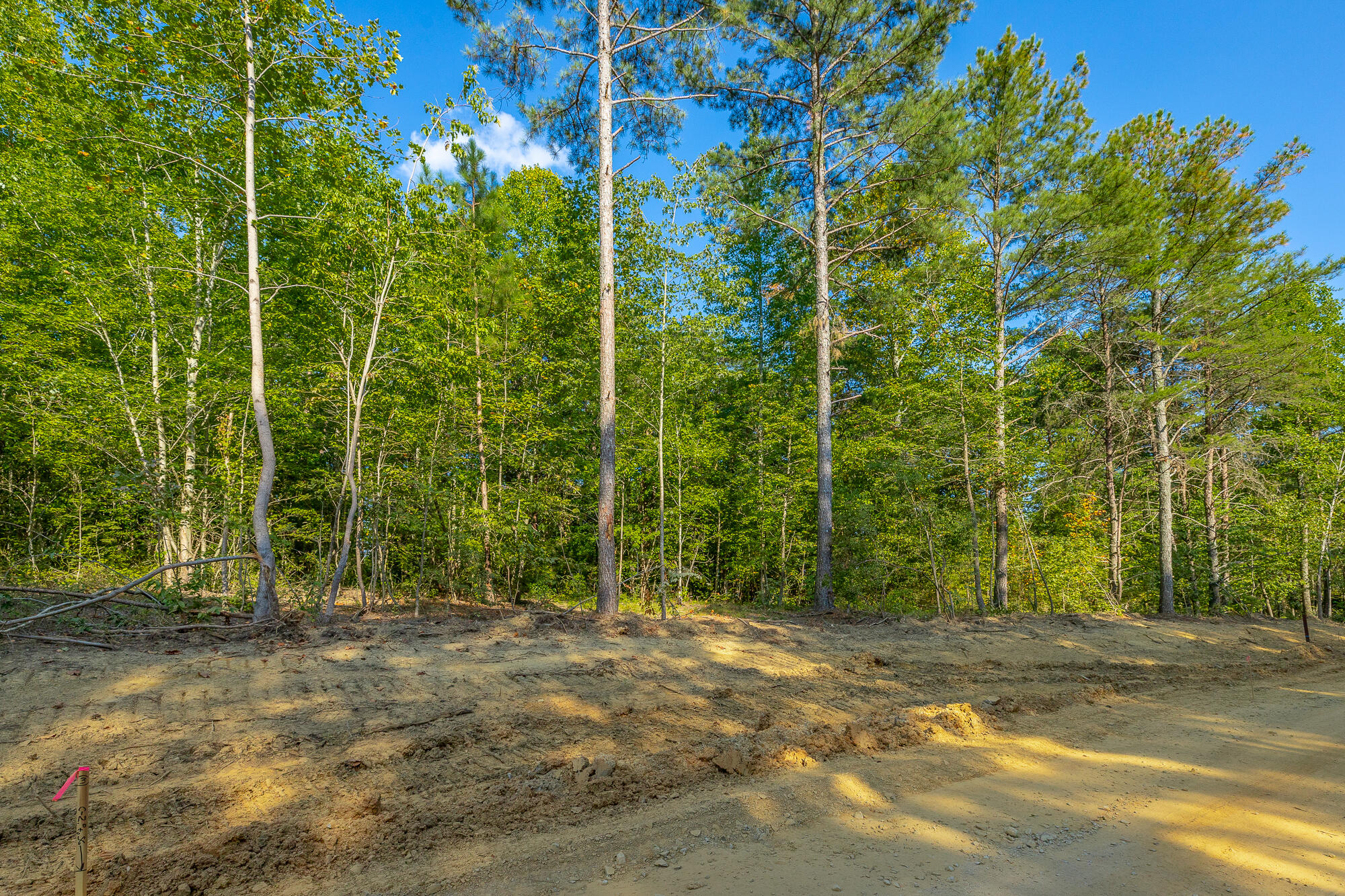 0 High Ground Road, Unit LOT 2218 Guild, TN 37340 - Photo 23 of 115 0 High Ground Road - Lot 2218 HD-58