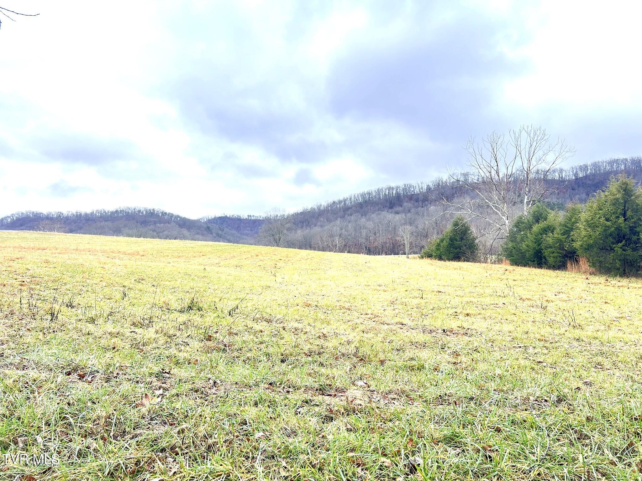 222 Locke Road Rogersville, TN 37857 - Photo 4 of 47 IMG_9863