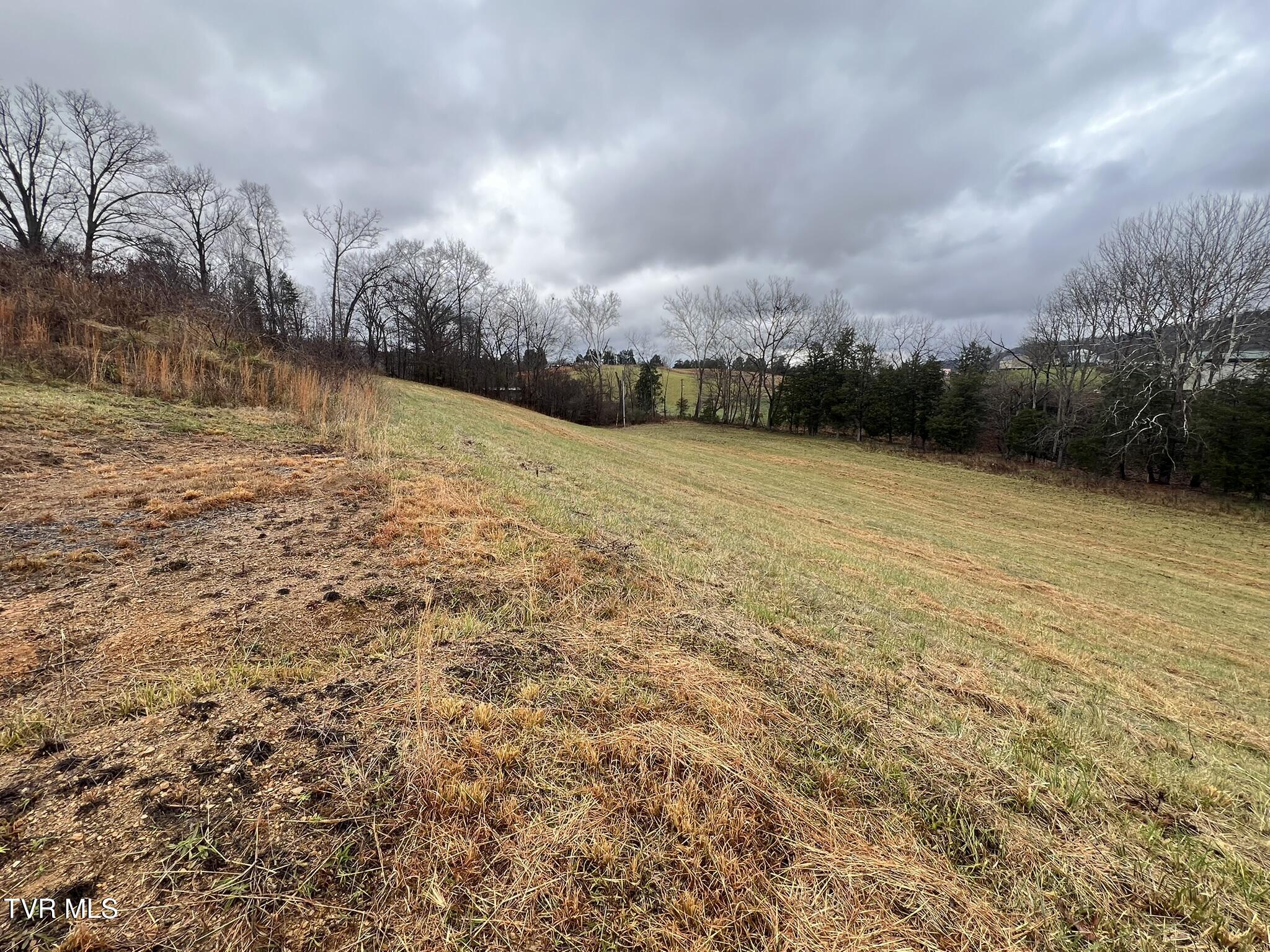 222 Locke Road Rogersville, TN 37857 - Photo 46 of 47 IMG_9874