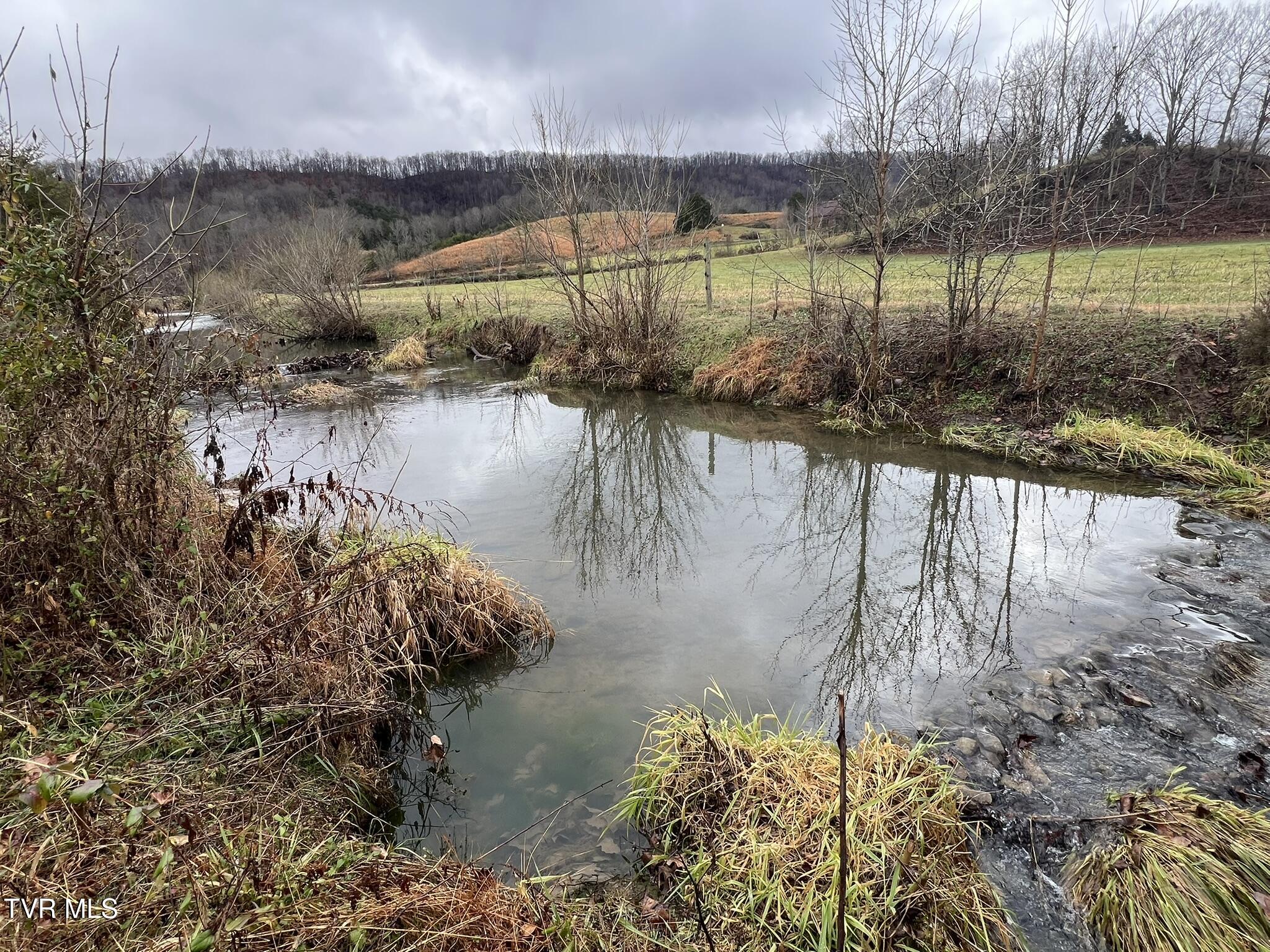 222 Locke Road Rogersville, TN 37857 - Photo 6 of 47 IMG_9859