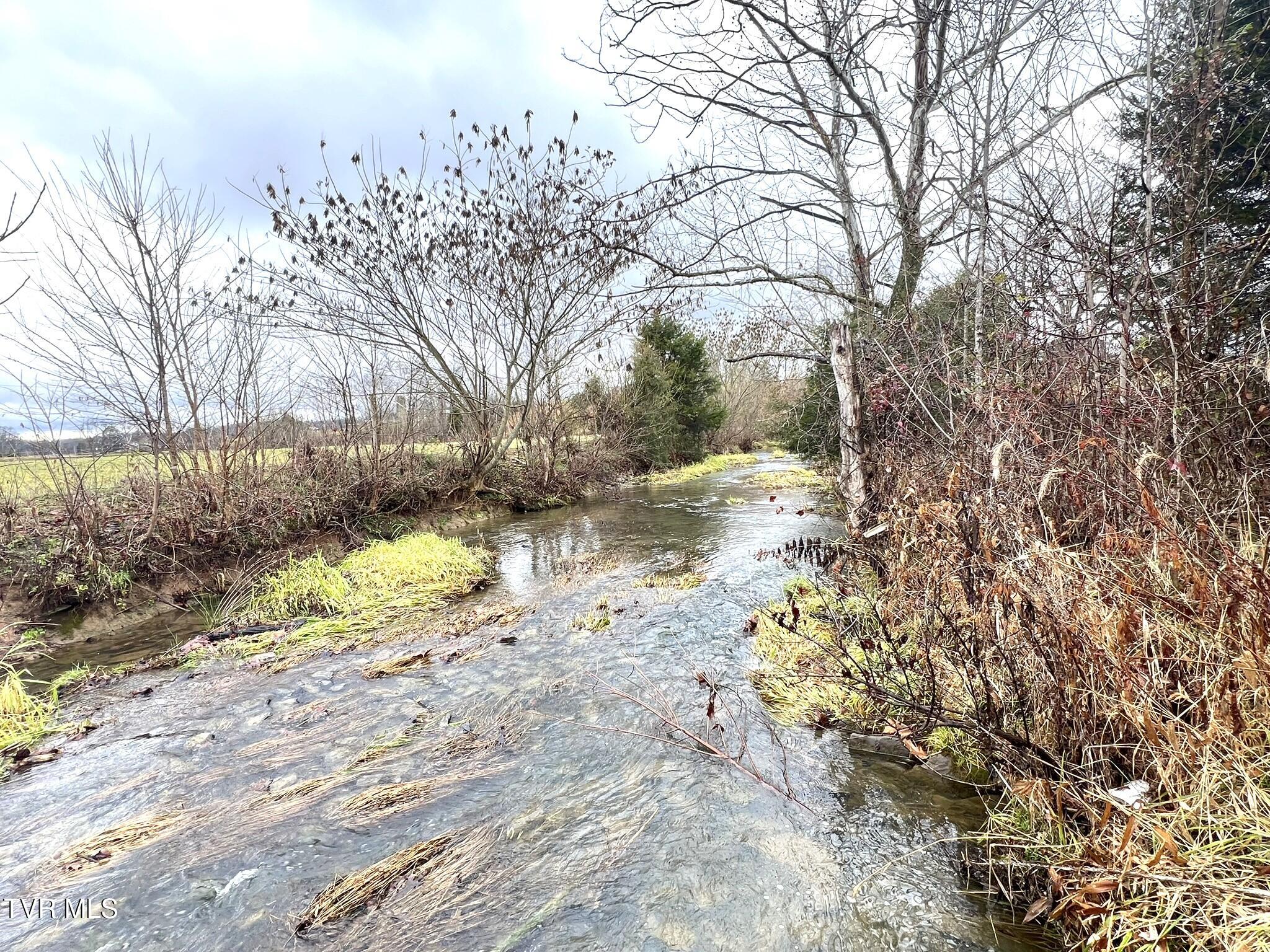 222 Locke Road Rogersville, TN 37857 - Photo 8 of 47 IMG_9861