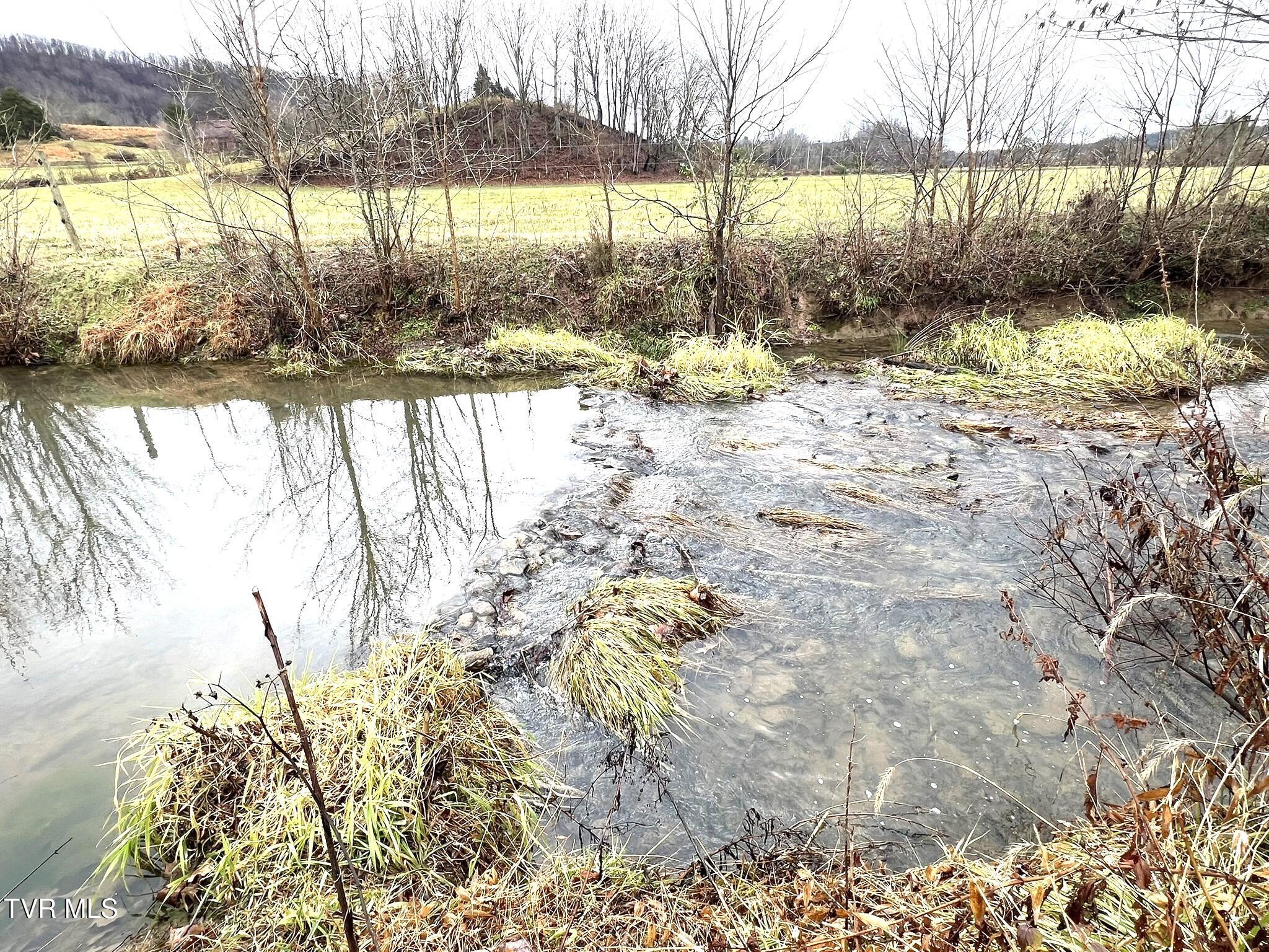 222 Locke Road Rogersville, TN 37857 - Photo 9 of 47 IMG_9858