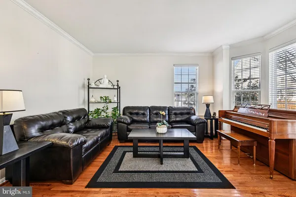a view of a dining room and livingroom with furniture wooden floor a rug a potted plant and a chandelier