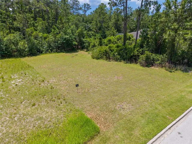 a view of ocean with green space