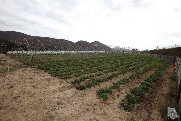 Shell Road Santa Paula, CA 93060 - Photo 1 of 9 Gallery Image 1