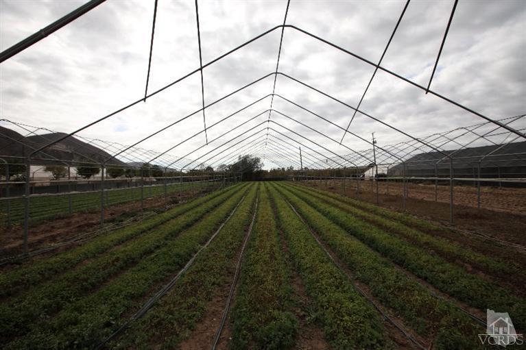 Shell Road Santa Paula, CA 93060 - Photo 2 of 9 Gallery Image 2