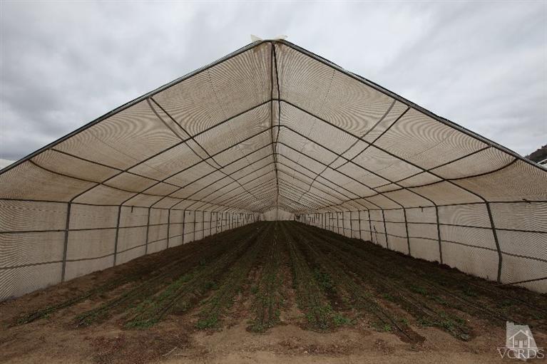 Shell Road Santa Paula, CA 93060 - Photo 3 of 9 Gallery Image 3