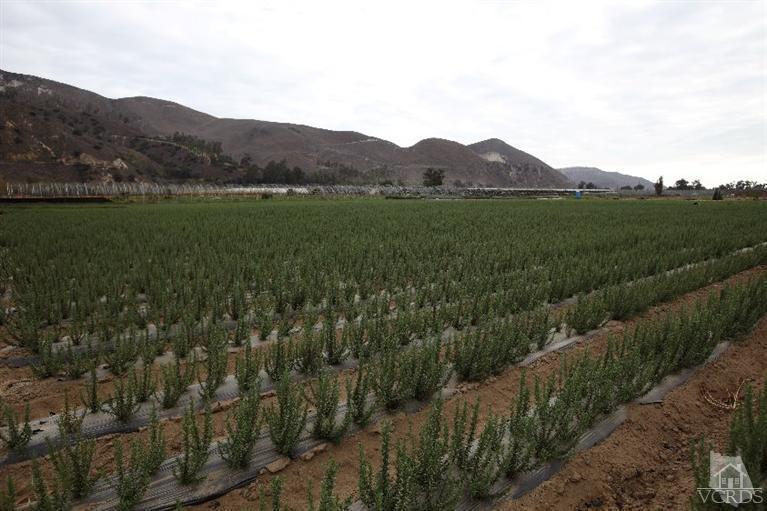 Shell Road Santa Paula, CA 93060 - Photo 9 of 9 Gallery Image 9