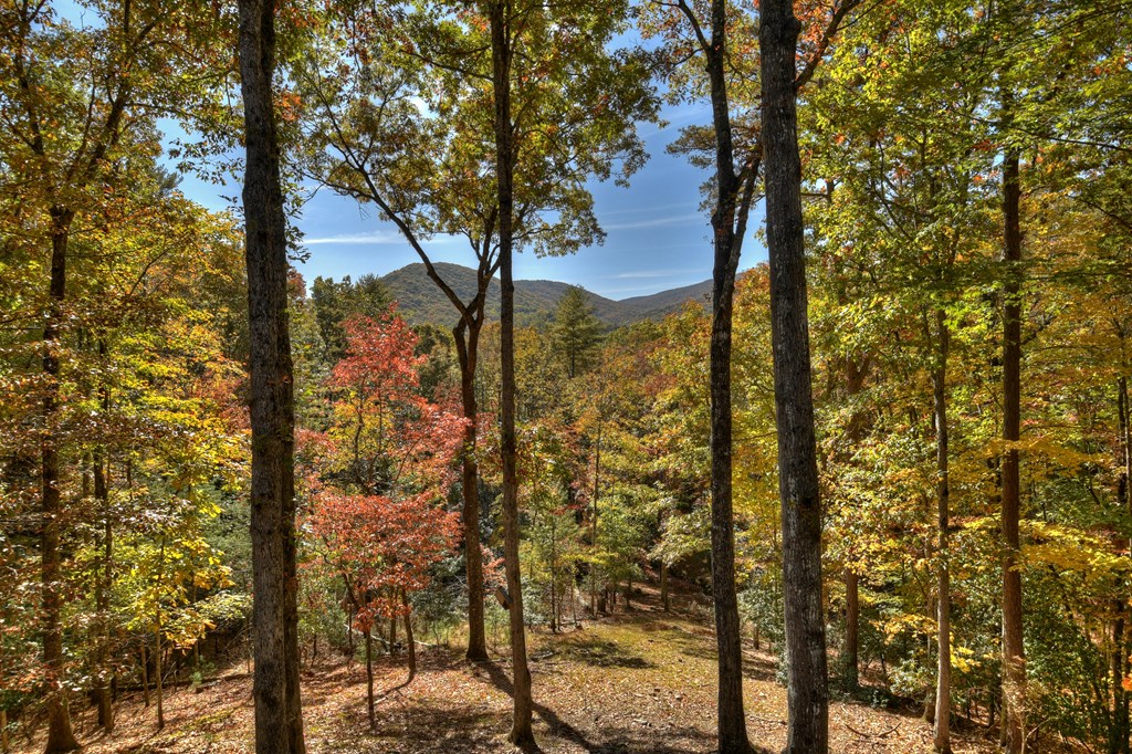 211 Little Creek Trail Blue Ridge, GA 30513 - Photo 67 of 73 Gallery Image 67
