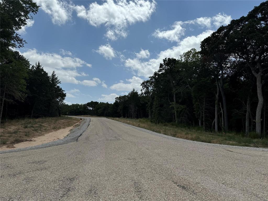 Lot 18 Big Cedar Court Decatur, TX 76234 - Photo 14 of 19