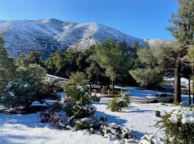 a view of a backyard with plants and a mountain view