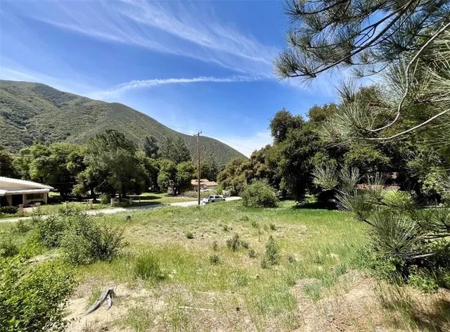 a view of a field with an trees