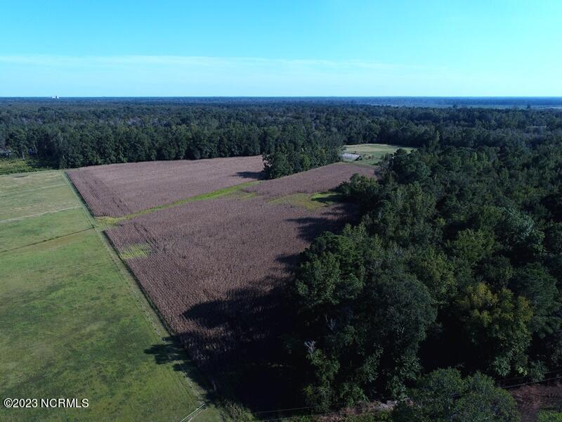 0 Pittman Road Lumberton, NC 28358 - Photo 6 of 19 DJI_0903